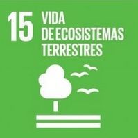 ODS 15 Vida de ecosistemas terrestres