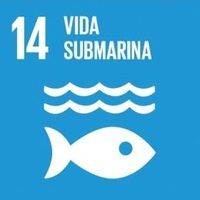 ODS 14 Vida submarina